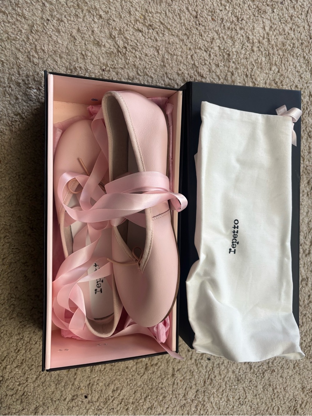 Repetto Pale Pink Ballet Flats with Satin Ribbon Ties